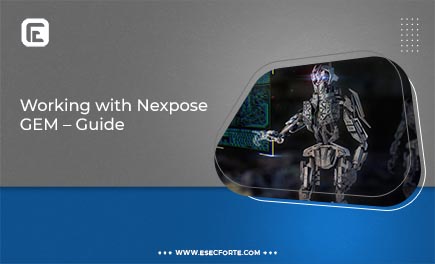 Working with nexpose GEM - Guide