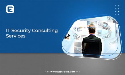 IT Security Consulting Services