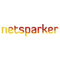 Netsparker web vulnerability scanner